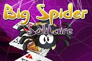 Spider Solitaire 🕹️ Jogue Spider Solitaire no Jogos123