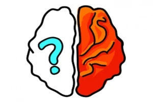 Brain Out Online