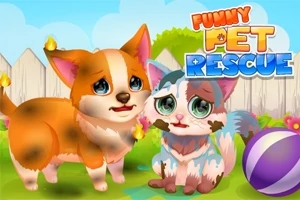 Dream Pet Connect 🕹️ Jogue no Jogos123