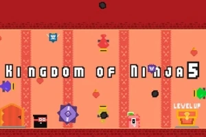 Kingdom of Ninja 5
